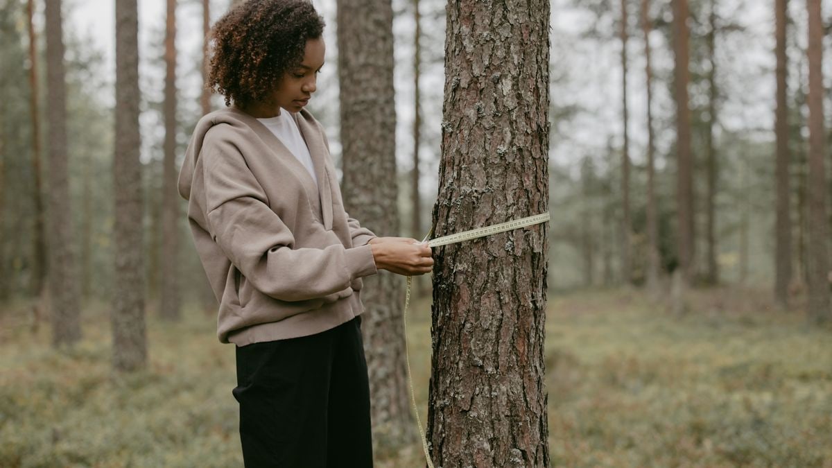 Kuidas saavutada tasakaalustatud eluviis